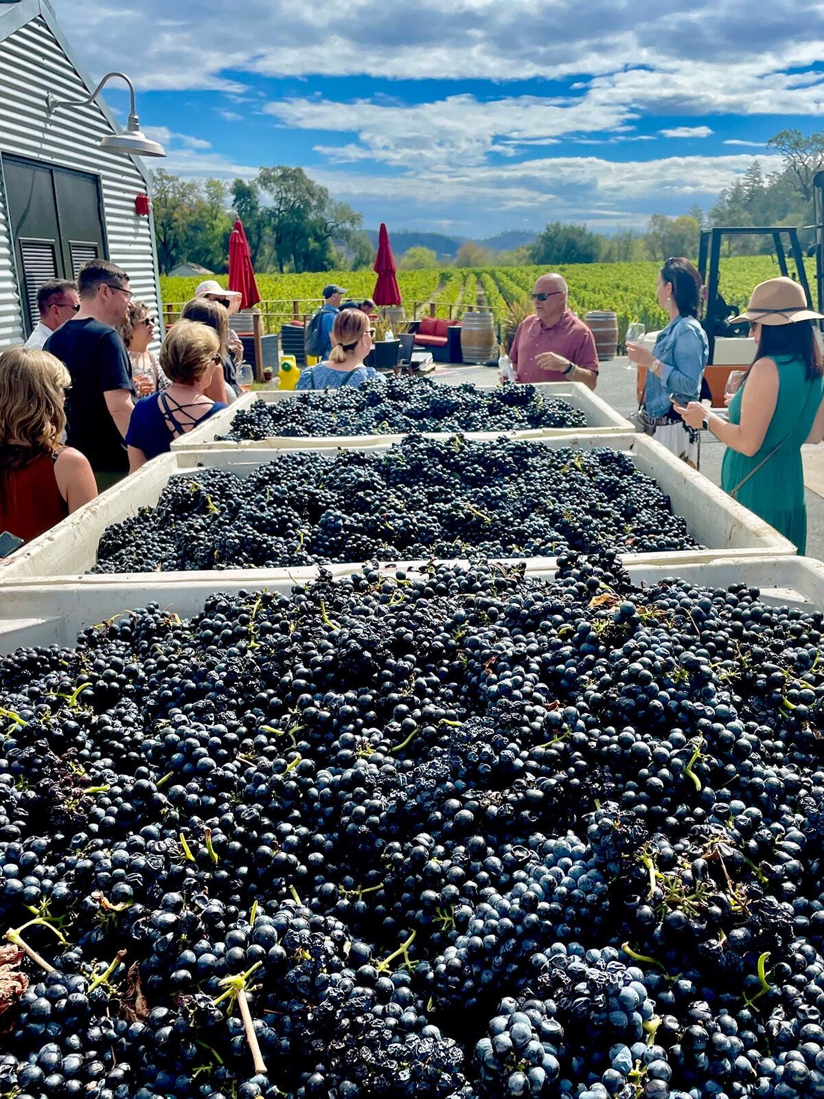 Blended Bliss Wine Tour