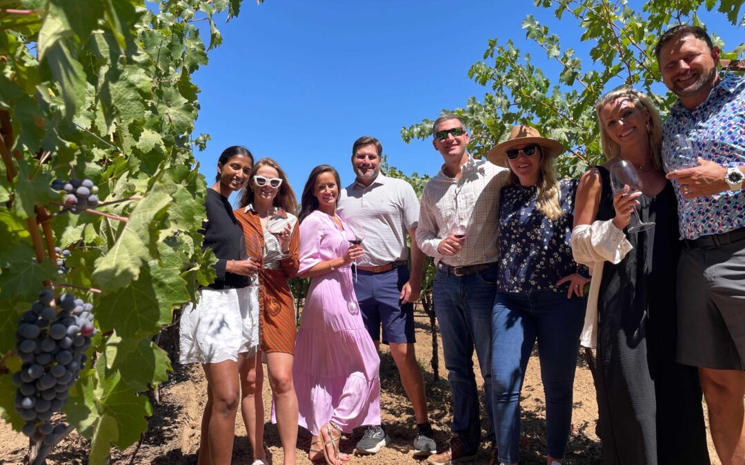 Guests on a wine tour standing among vineyard rows, smiling and holding wine glasses under a clear blue sky.