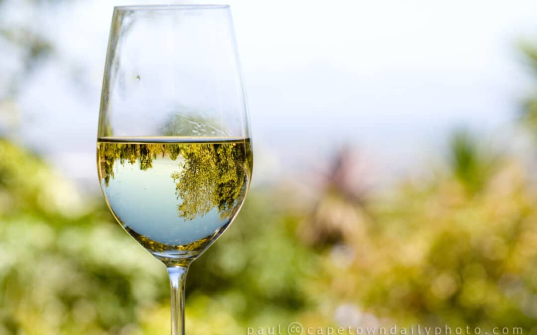wine_glass_reflection_IMG_4764