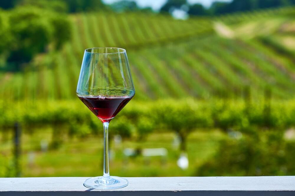 wine glass sitting on ledge with vineyards behind
