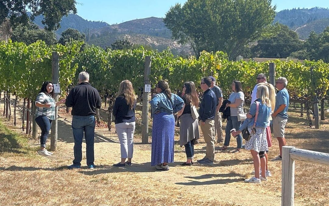 people standing in vineyard taking a tour