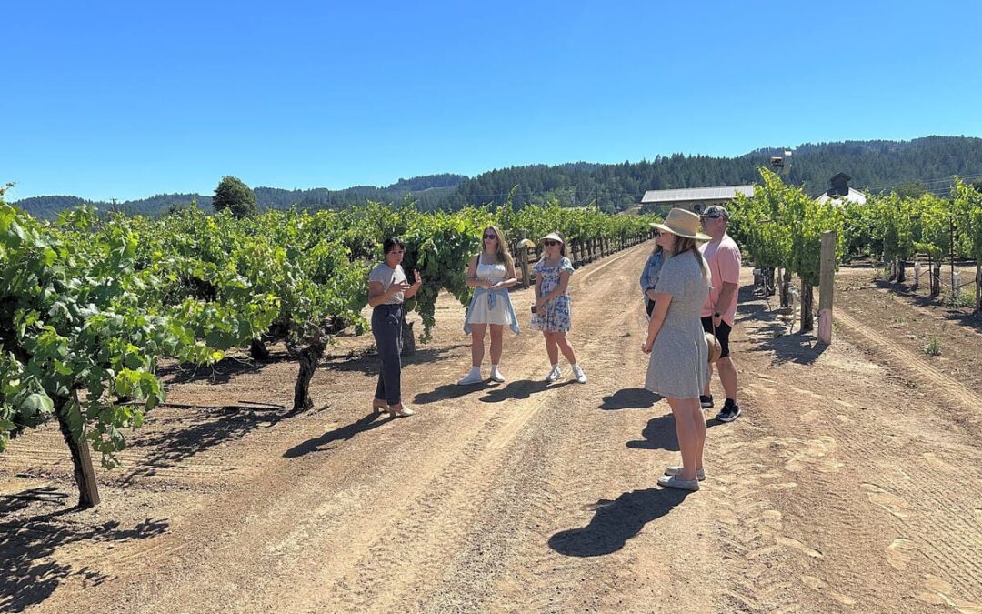 people standing amongst vineyards talking