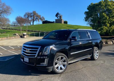 Cadillac Escalade Driver Side