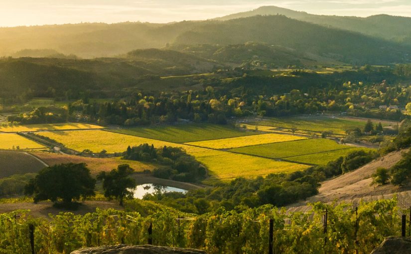 sonoma-wine-tours-Sonoma-Valley-