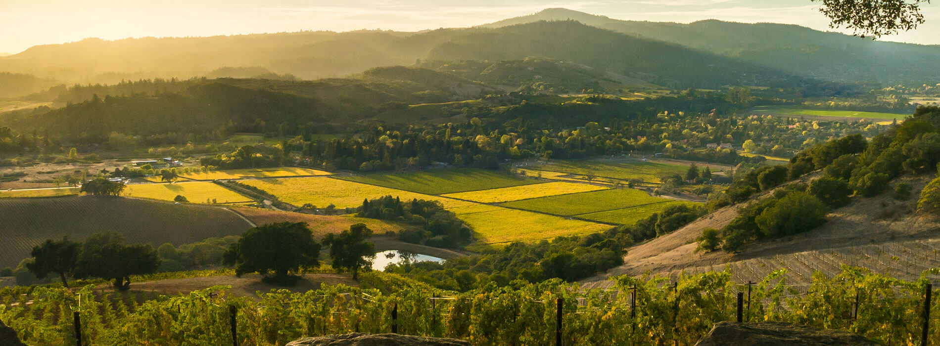 sonoma wine guided tours