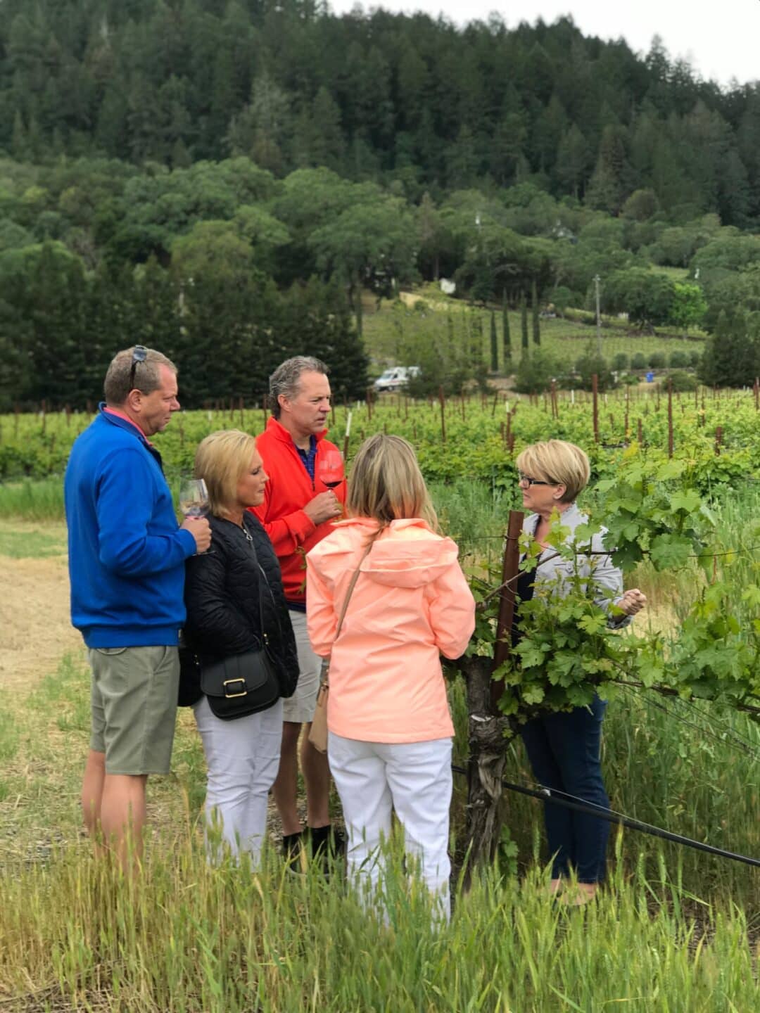 Private Wine Tours Napa & Sonoma Platypus Wine Tours