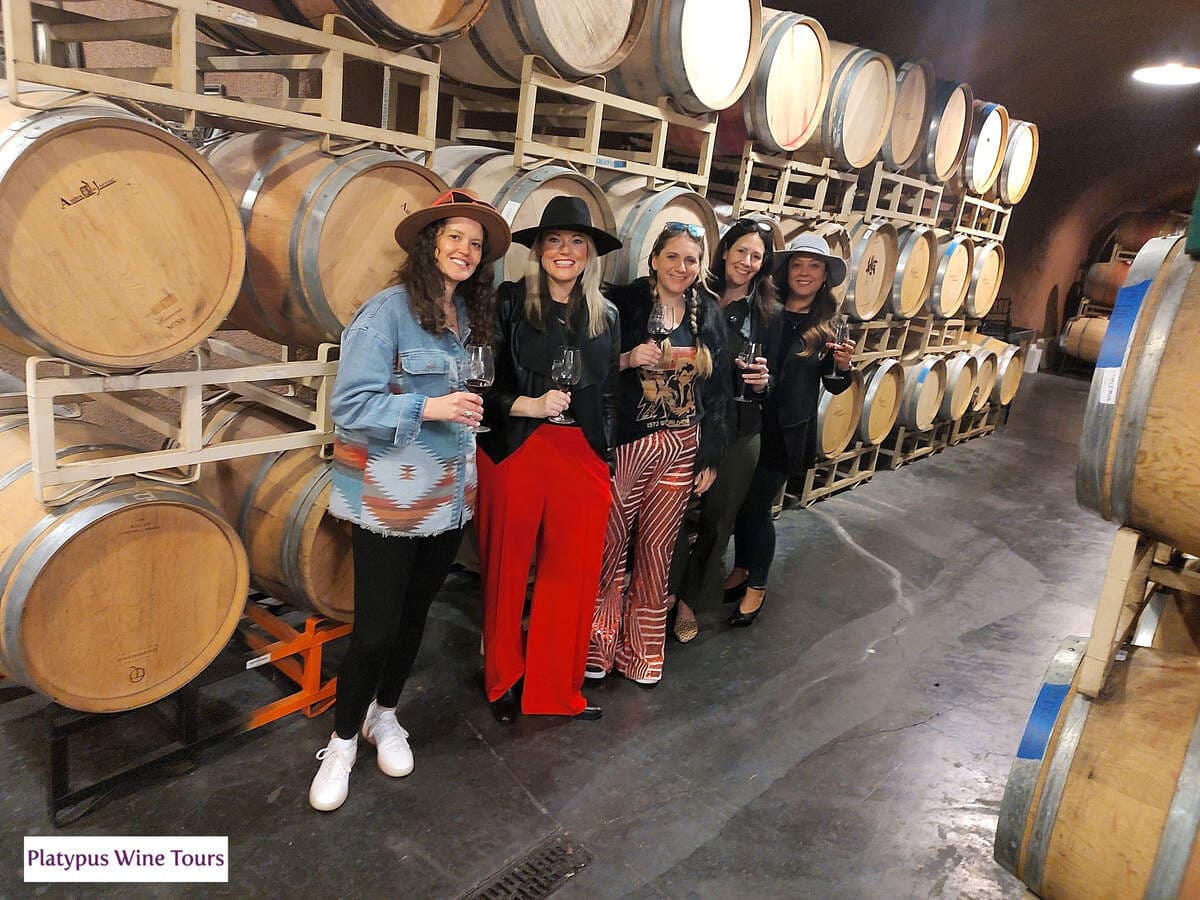 woman holding wine glasses standing in front of wine barrels