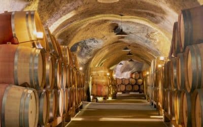 Top 7 Mountain Wineries in Napa Valley