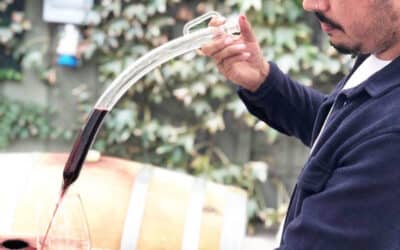 Featured Winery: Auburn James Winery