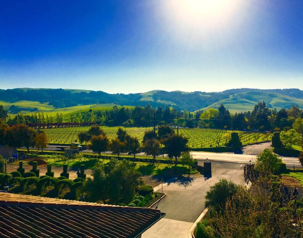 winery overlooking vineyards
