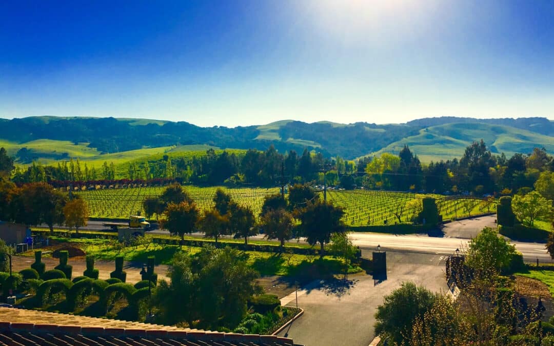 winery overlooking vineyards