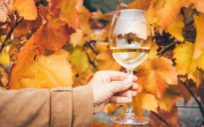7 Ways to Celebrate Fall in Wine country