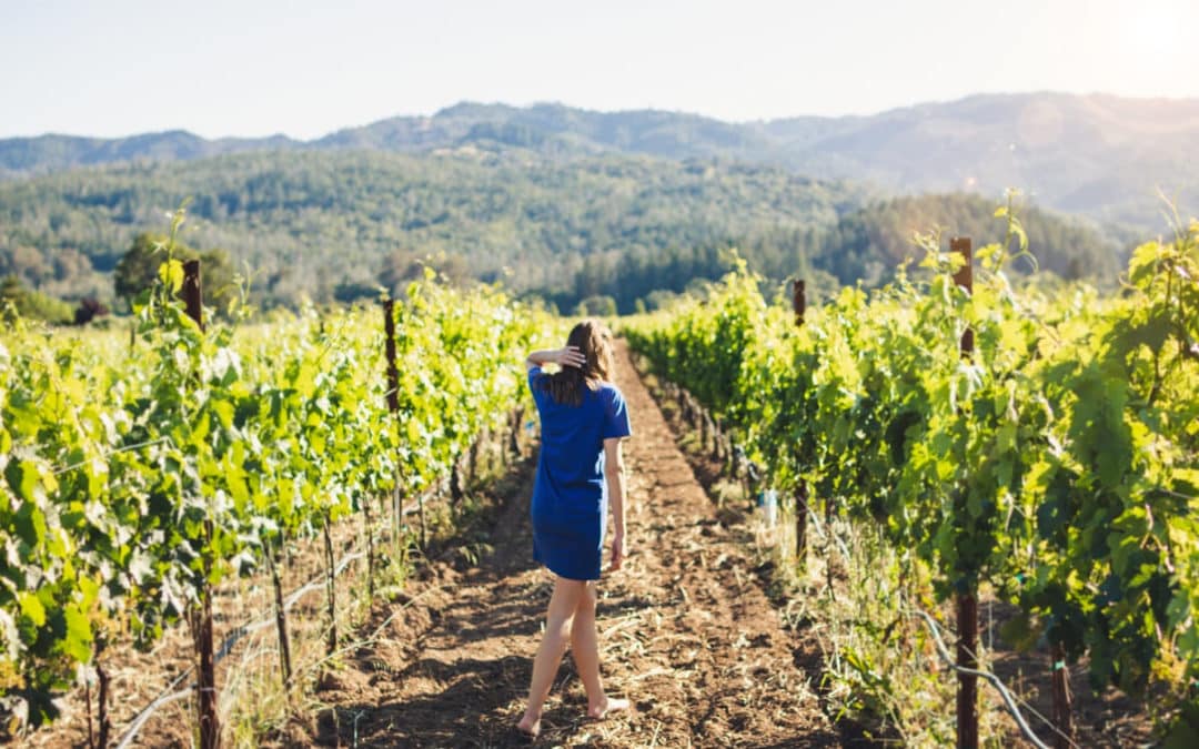 vineyard