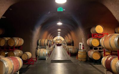 Beyond the Tasting Room: Unique Experiences on Napa Wine Tours