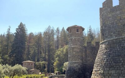 Sip and Savor: Exploring the Most Beautiful Wineries in Napa Valley