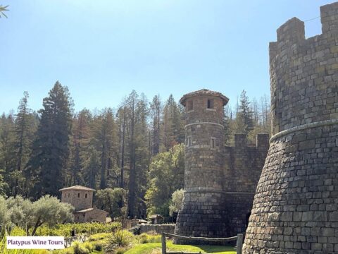 Exploring the Most Beautiful Wineries in Napa Valley