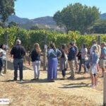 people standing in vineyard taking a tour