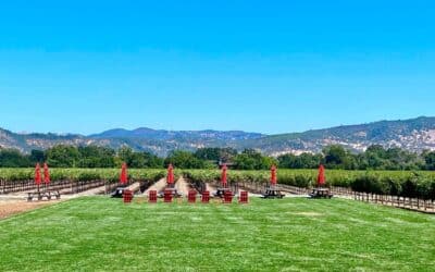 Wine Country Tours in Napa: Navigating the Vineyards, Sips, and Scenic Routes