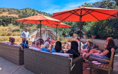 Guided Napa Valley Wine Tours: A Wine Expert’s Perspective
