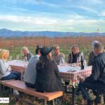 Family friendly napa valley wineries