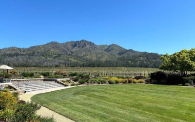 Uncorking Legends: Exploring Iconic Napa Valley Wineries