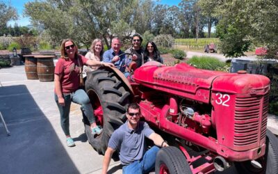 Unveiling the Gems: Top Downtown Wineries in Napa Valley