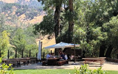 Unforgettable Sips: Your Guide to Calistoga Napa Valley Wineries