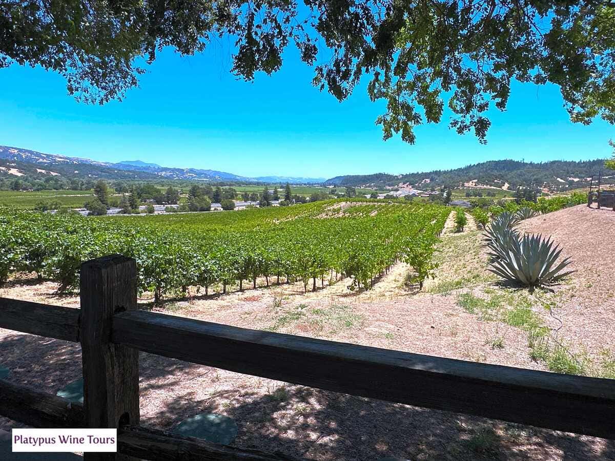 A Deep Dive into California’s Premier Wine Region: The Napa Valley AVA 