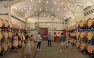 Escape the Ordinary: Uncover Sonoma’s Wine Tour Gems with Platypus