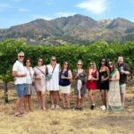 Small group of wine tour guests standing in front of vineyard rows with mountain backdrop, holding wine glasses and smiling on a sunny day in wine country.