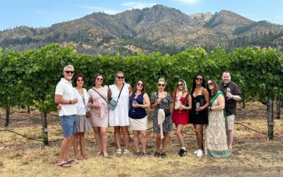 Napa Valley or Sonoma Wine Country Small-Group Tour