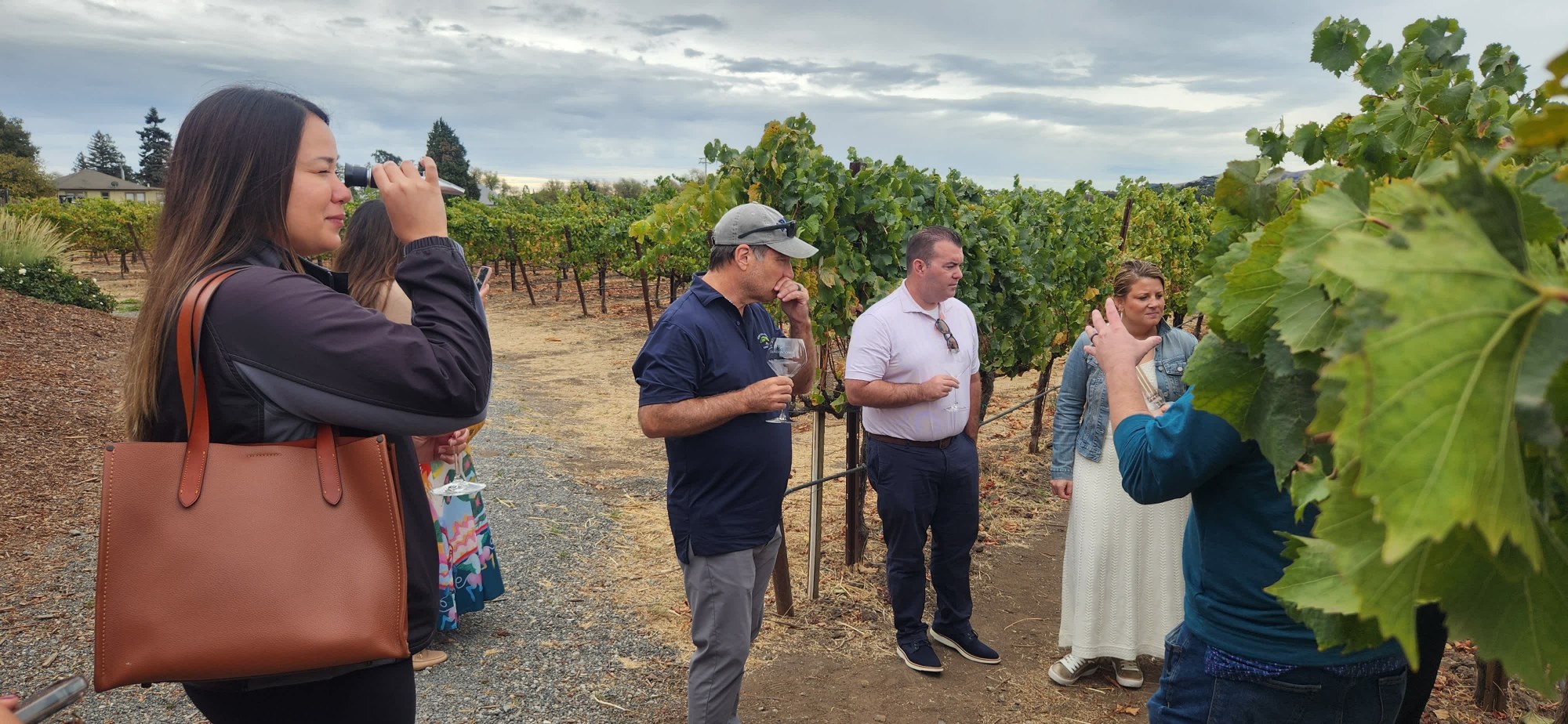 Platypus Wine Tours guests enjoying a guided vineyard visit, examining grapevines and taking photos during their wine country tour.