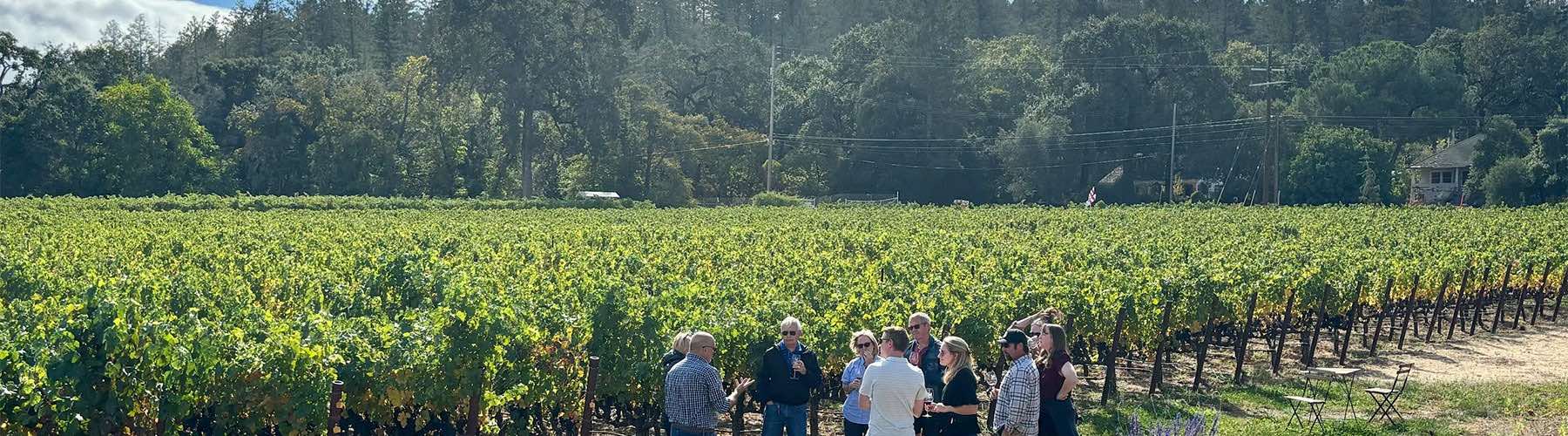Napa Valley Slider8 - Platypus Wine Tours