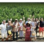 Diverse group of Platypus Wine Tours guests waving and holding wine glasses among sunny Napa Valley vineyard rows during a small-group wine tasting experience.