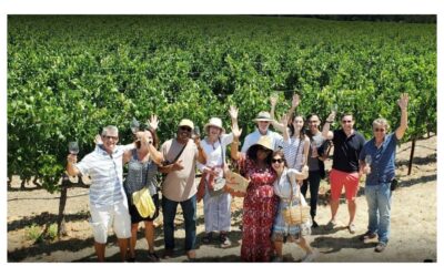 When Wine Tour Packages Make Sense